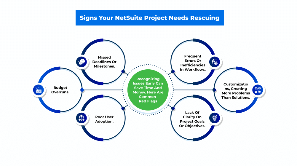 NetSuite Project Needs Rescuing